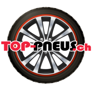 Pneu Maxxis Vansmart MCV3+