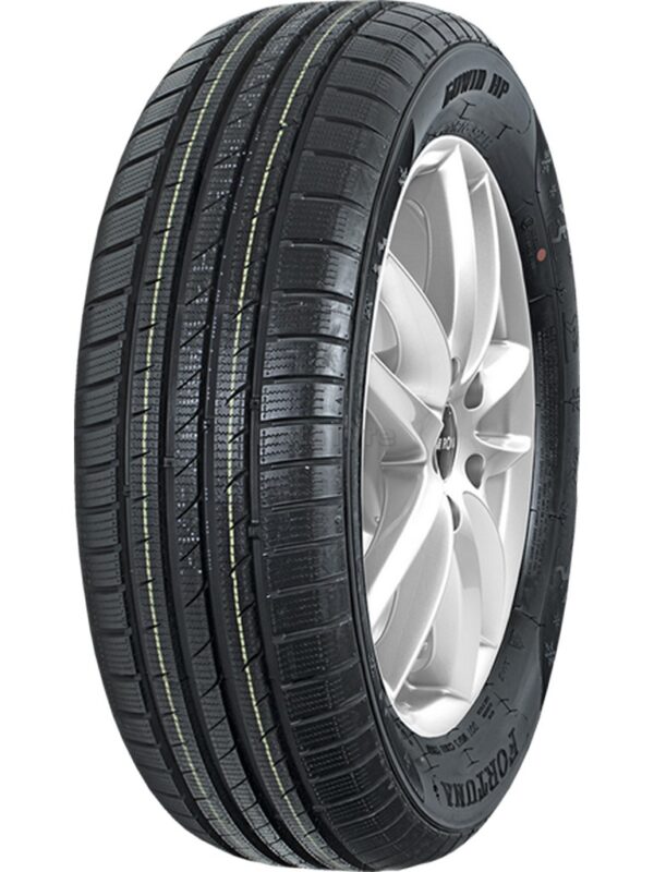 Reifen Fortuna Gowin HP 195/65 R15 91T