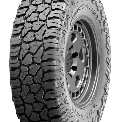 Pneu Falken Wildpeak R/T RT01